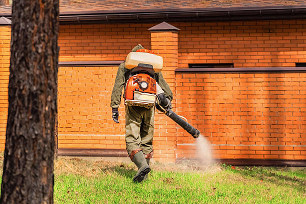 Trusted Cockroach Control service in Macopin, NJ - Nex Pest Control